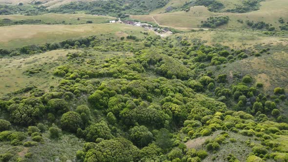 Flying Over Huge Magical Green Lands, Virgin Nature, California