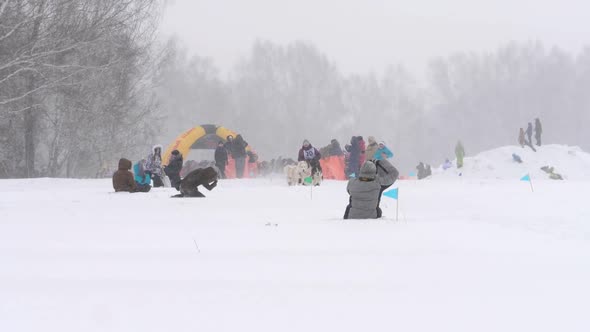 Husky Dog and Man Athlete During Skijoring Competitions