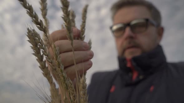 Farmer Works with a Computer Tablet in a Wheat Field at Sunset