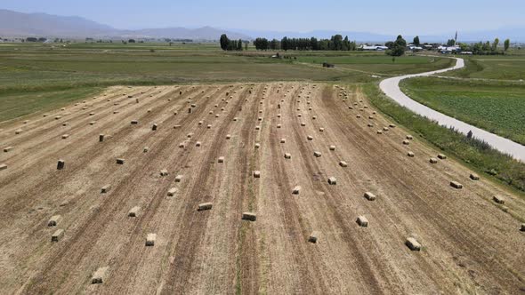 Aerial View Straw Bales