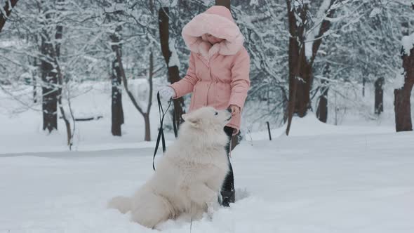 Girl with a Dog Samoyed