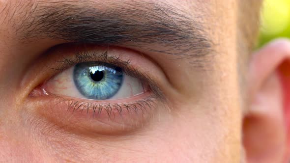 Beautiful Blinking Male Eye Closeup