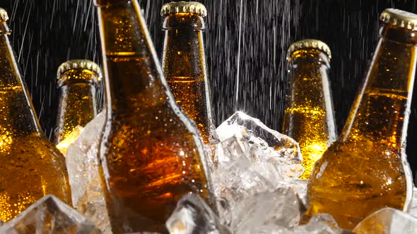 Beer Stands in the Ice, Water Flows From Above, Splashes Fall on the Glass, Black Background