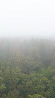 Vertical Video Fog in the Forest Aerial View