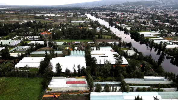 Drone shot of greenhouses in Xochimilco mexico city with cempasuchil flower