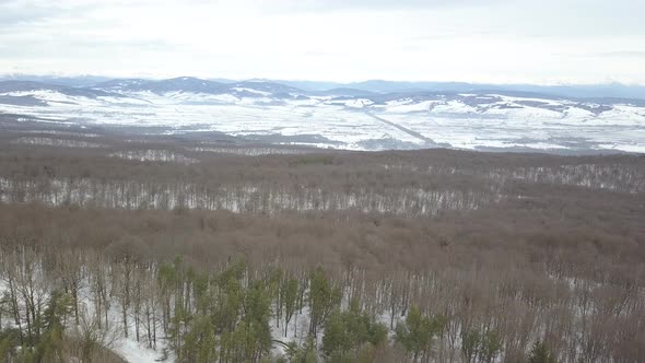 Sabaduri Mountain, Frozen forest, Georgia