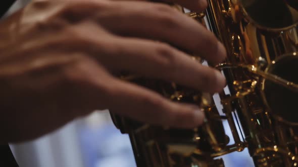 The Musician Plays the Saxophone