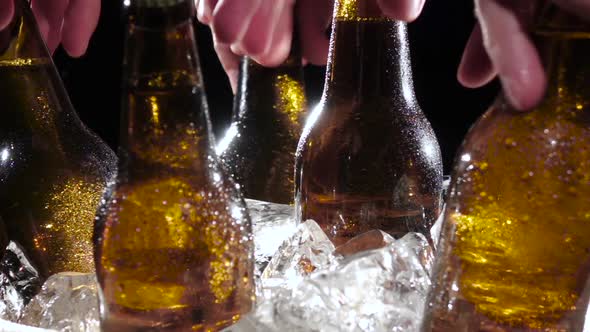 Company of Friends Pulls Out Bottles of Beer From the Ice. Black Background. Close Up