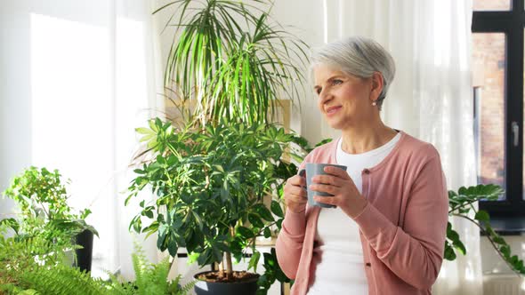 Happy Senior Woman with Cup of Tea at Home