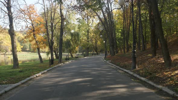 Nature by  the autumn  3840X2160 UltraHD tilting footage - Orange and yellow colors in the park slow