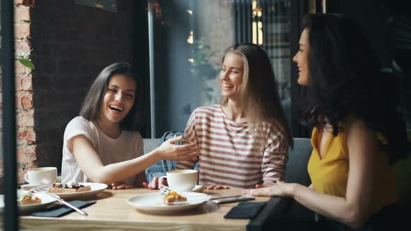 Happy Female Friends Talking Then Doing High-five and Laughing in Modern Cafe