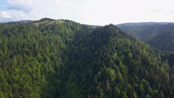 Aerial Panning shot of Woodland on Valley with mountains in the background and clear sky