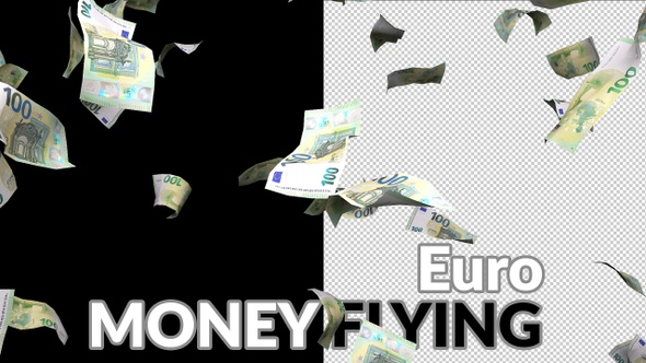 3D Money Flying 02
