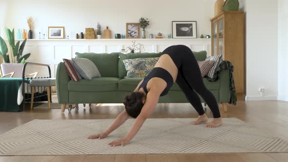 Indian Woman Practicing Upward And Downward Facing Dog Pose In Yoga Sport At Home