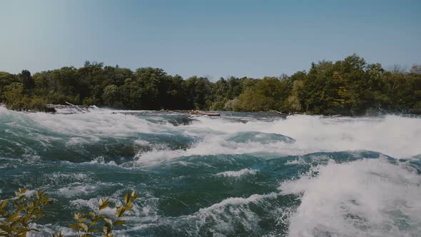 Majestic View of Epic Rushing River Water Waves of the Niagara and Lush Green Trees on the Bank