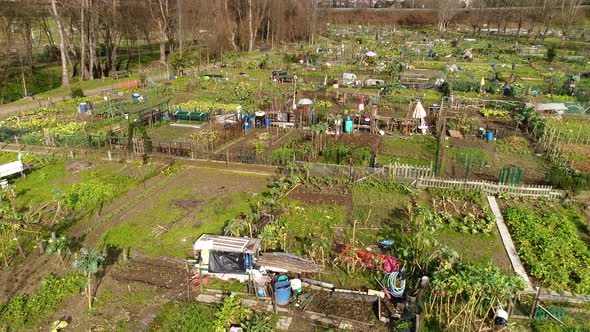 Aerial View of Community Gardens in Urban Neighbourhood