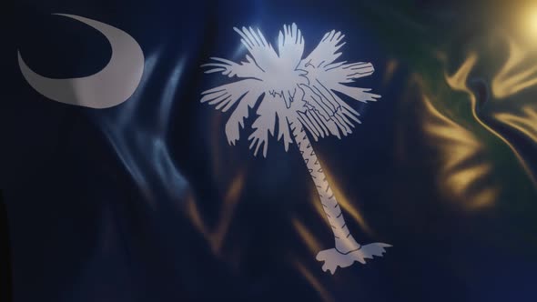 South Carolina State Flag