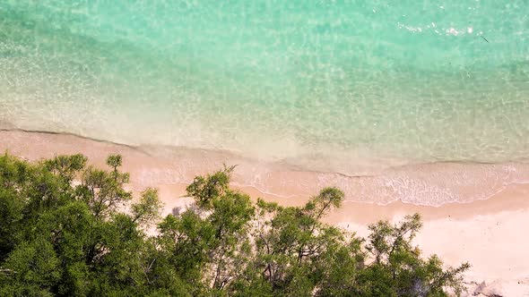Aerial View Top View Drone Move Beautiful Topical Beach with White Sand