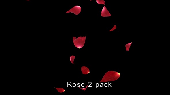 Rose 2 Pack alt