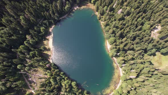 Aerial view of mountain lake surrounded by dense forest. Montenegro, Europe