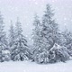 Beautiful Fluffy Snow Tree Branches - VideoHive Item for Sale