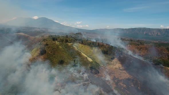 Aerial View Forest Fire