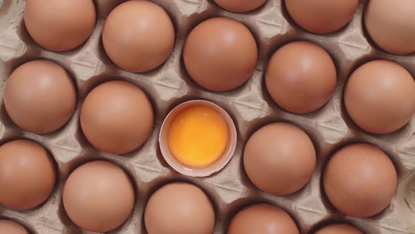 Chicken Brown Fresh Raw Eggs In An Egg Container And One Open