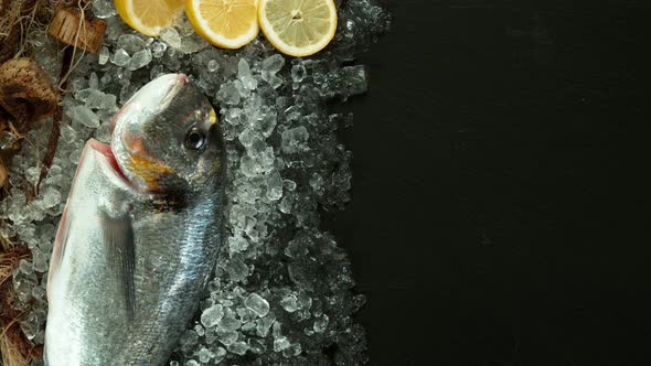 Super Slow Motion Shot of Falling Fresh Bream Fish Into Crushed Ice at 1000 Fps.