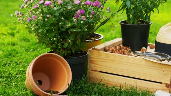 Garden Tools, Wooden Box and Flowers at Summer