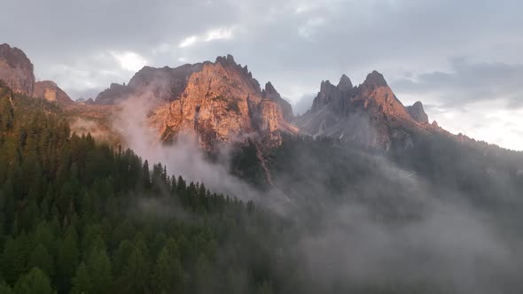 Aerial view of a summer forest with fog and mist