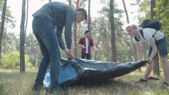 Three Young Caucasian Men Putting Up Tent in Summer Forest. Confident Fellows Camping Outdoors on