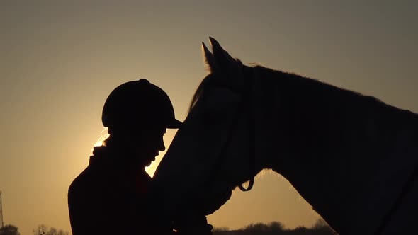 Horsewoman Kisses a Horse at Sunset. Silhouette. Slow Motion. Side View. Close Up