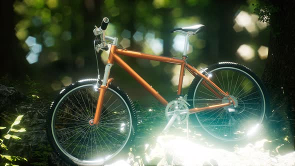 Mountain Bike on the Forest Path