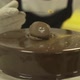 Professional chef throwing gold dust on the chocolate cake - VideoHive Item for Sale