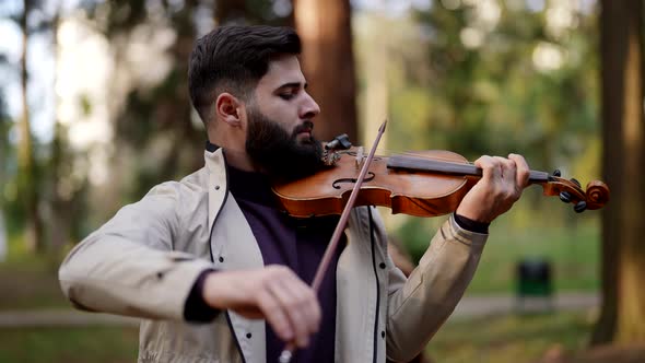 Amazing Classical Concert of Violinist in Forest Nature and Music Romantic Song