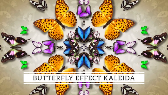 Butterfly Effect Kaleida
