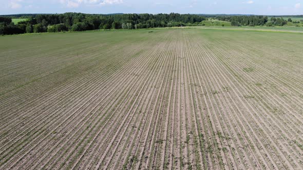 8 Agricultural Field