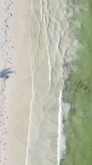 Beach on the Coast of Zanzibar Island Tanzania