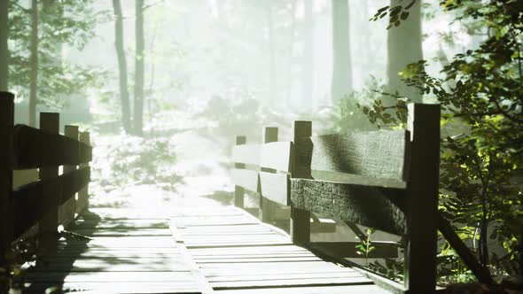 Old Wooden Bridge Over a Small Stream in a Park