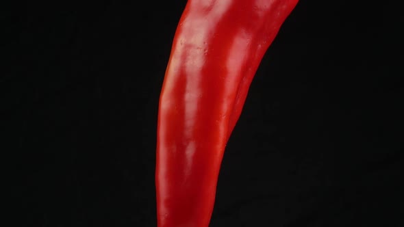 Hot red chilli pepper