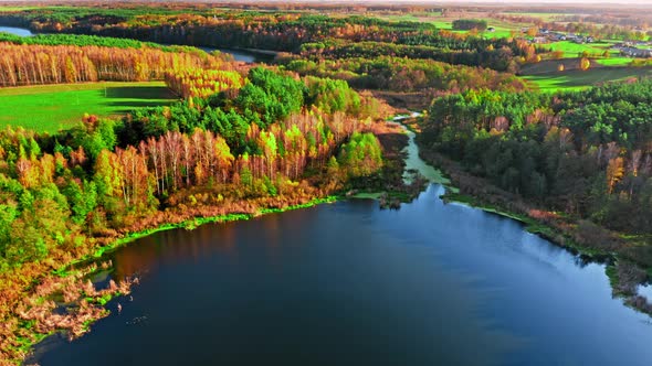 Aerial view of lake, river and colorful forest in autumn