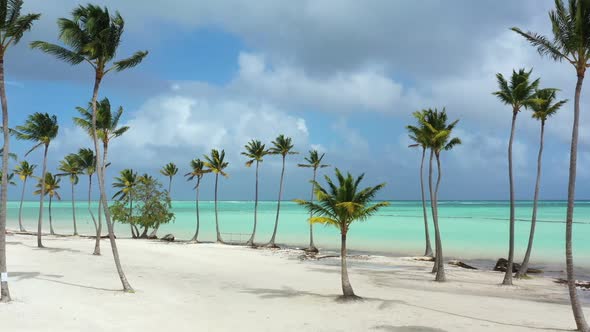 Juanillo Beach with Palm Trees White Sand and Turquoise Caribbean Sea