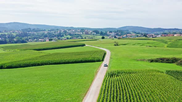 Cinematic drone view of single car driving through incredible green rural landscape in lonely road
