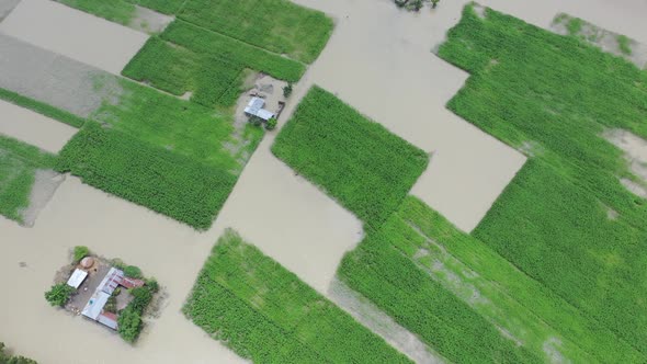 Aerial view of a residential district in Keraniganj flooded by monsoon rains in Dhaka province, Bang