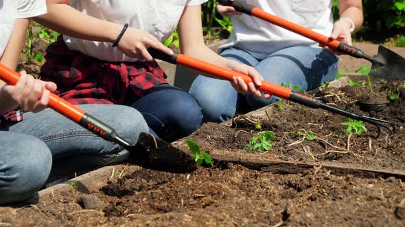 Closeup Video of Farmers Holding Gardening Tools Cultivating and Shaping the Soil on Garden Bed