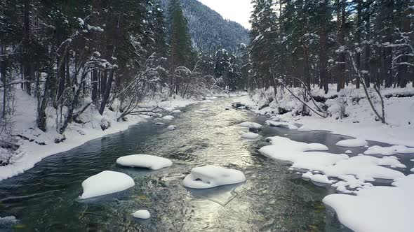 Beautiful Snow Scene Forest in Winter