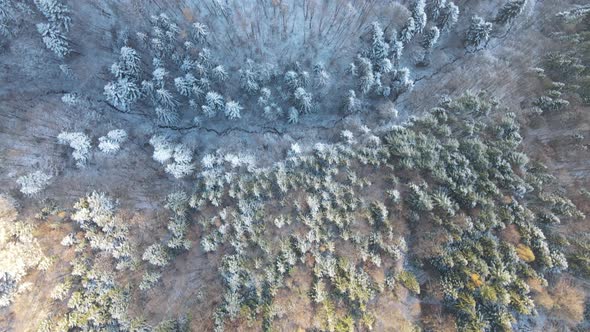 Aerial top view from drone of famous Transfagarasan mountains