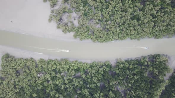 Aerial view fisherman boat in the mangrove forest. 