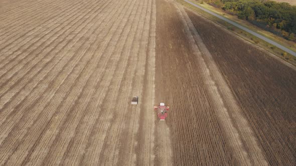 Aerial View Combine Harvesting on Sunflower Field. Mechanized Harvesting Sunflower. Large Field of