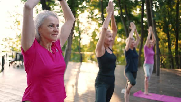 Four Peaceful Ladies Practicing Yoga in Pak Standing in Tree Pose Together in Row in Morning